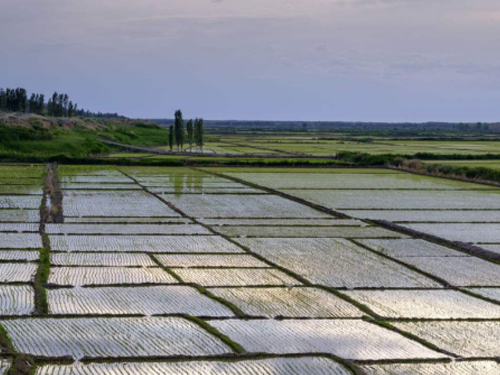 耕地质量等别评价与监测